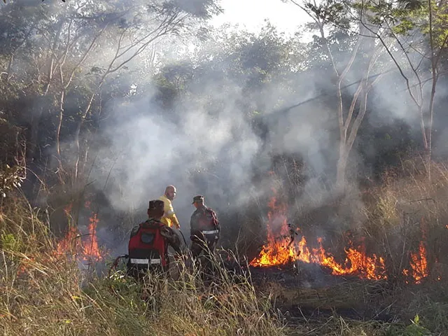 Les broussailles en feu
