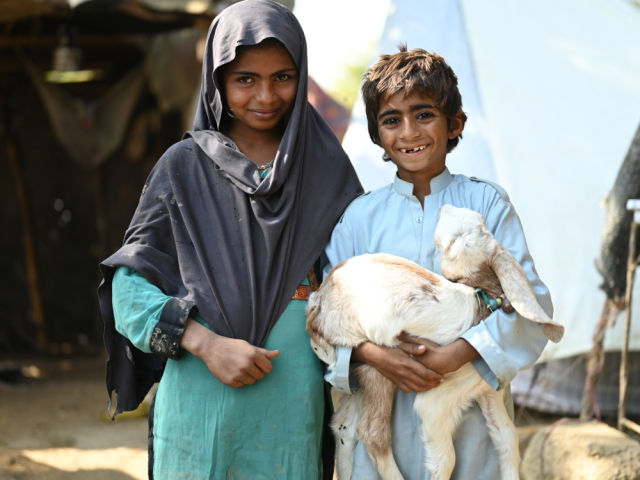 Safoora's children with their baby goat