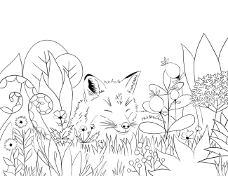 Renard dessins | Maude Pelletier